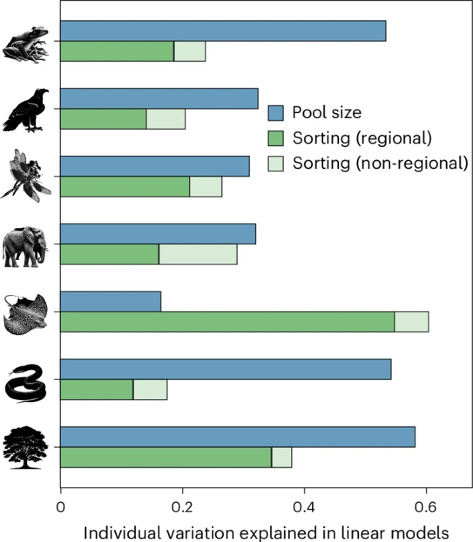 Variance indépendante (non partagée) expliquée par des facteurs – tri et taille du pool – associés à des hypothèses biogéographiques distinctes. Partitionnement de la variance dérivé de régressions linéaires prédisant la richesse spécifique à l'échelle de la cellule de grille avec trois variables explicatives : la taille du pool régional d'espèces (barre bleue), la richesse en espèces caractéristiques (barre vert foncé) et la richesse en espèces non caractéristiques (barre vert clair).